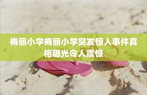 梅丽小学梅丽小学突发惊人事件真相曝光令人震惊