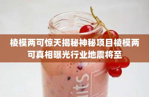 棱模两可惊天揭秘神秘项目棱模两可真相曝光行业地震将至