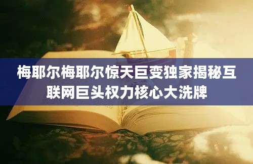 梅耶尔梅耶尔惊天巨变独家揭秘互联网巨头权力核心大洗牌