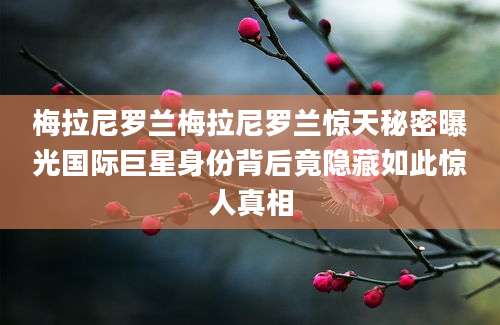 梅拉尼罗兰梅拉尼罗兰惊天秘密曝光国际巨星身份背后竟隐藏如此惊人真相