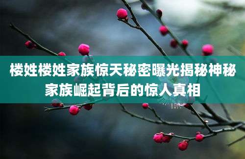 楼姓楼姓家族惊天秘密曝光揭秘神秘家族崛起背后的惊人真相