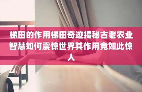 梯田的作用梯田奇迹揭秘古老农业智慧如何震惊世界其作用竟如此惊人