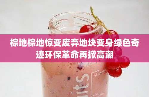 棕地棕地惊变废弃地块变身绿色奇迹环保革命再掀高潮