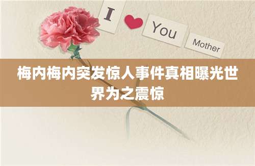 梅内梅内突发惊人事件真相曝光世界为之震惊