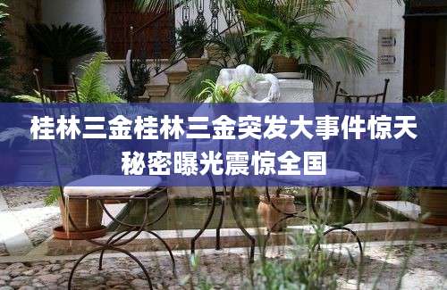 桂林三金桂林三金突发大事件惊天秘密曝光震惊全国