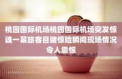 桃园国际机场桃园国际机场突发惊魂一幕旅客目睹惊险瞬间现场情况令人震惊