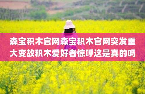 森宝积木官网森宝积木官网突发重大变故积木爱好者惊呼这是真的吗