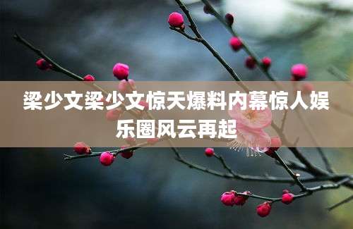 梁少文梁少文惊天爆料内幕惊人娱乐圈风云再起