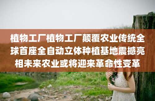 植物工厂植物工厂颠覆农业传统全球首座全自动立体种植基地震撼亮相未来农业或将迎来革命性变革