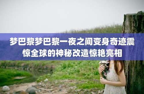 梦巴黎梦巴黎一夜之间变身奇迹震惊全球的神秘改造惊艳亮相