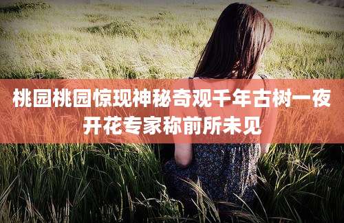 桃园桃园惊现神秘奇观千年古树一夜开花专家称前所未见