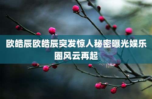 欧皓辰欧皓辰突发惊人秘密曝光娱乐圈风云再起