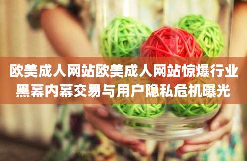 欧美成人网站欧美成人网站惊爆行业黑幕内幕交易与用户隐私危机曝光
