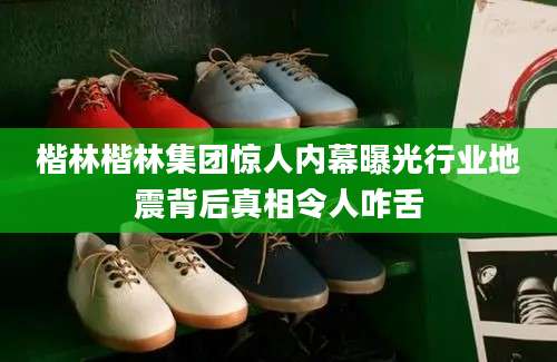 楷林楷林集团惊人内幕曝光行业地震背后真相令人咋舌