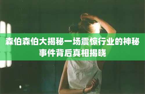 森伯森伯大揭秘一场震惊行业的神秘事件背后真相揭晓