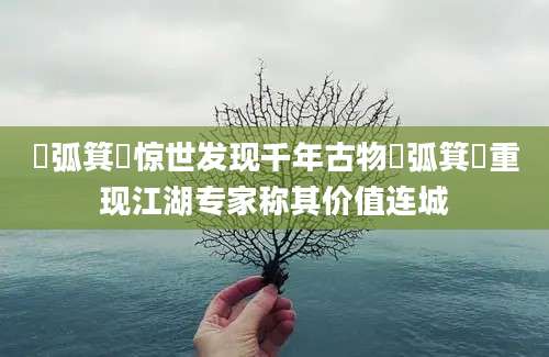 檿弧箕箙惊世发现千年古物檿弧箕箙重现江湖专家称其价值连城