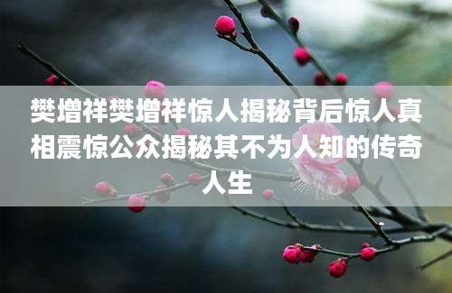 樊增祥樊增祥惊人揭秘背后惊人真相震惊公众揭秘其不为人知的传奇人生