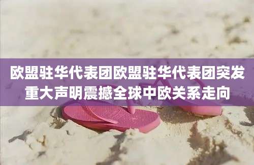 欧盟驻华代表团欧盟驻华代表团突发重大声明震撼全球中欧关系走向