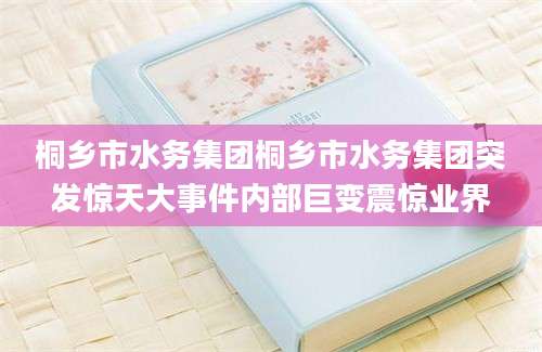 桐乡市水务集团桐乡市水务集团突发惊天大事件内部巨变震惊业界