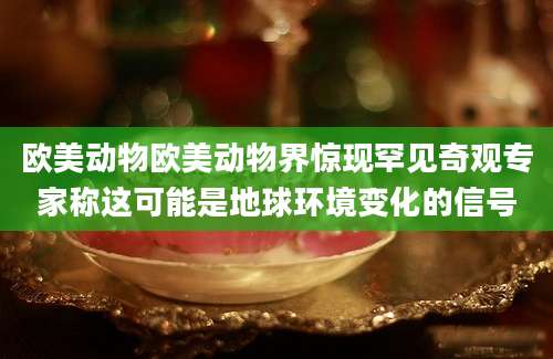 欧美动物欧美动物界惊现罕见奇观专家称这可能是地球环境变化的信号