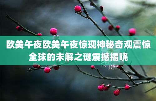 欧美午夜欧美午夜惊现神秘奇观震惊全球的未解之谜震撼揭晓