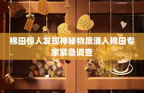 棉田惊人发现神秘物质涌入棉田专家紧急调查