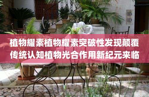 植物耀素植物耀素突破性发现颠覆传统认知植物光合作用新纪元来临