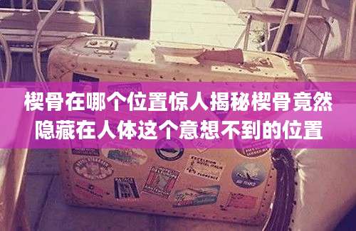 楔骨在哪个位置惊人揭秘楔骨竟然隐藏在人体这个意想不到的位置