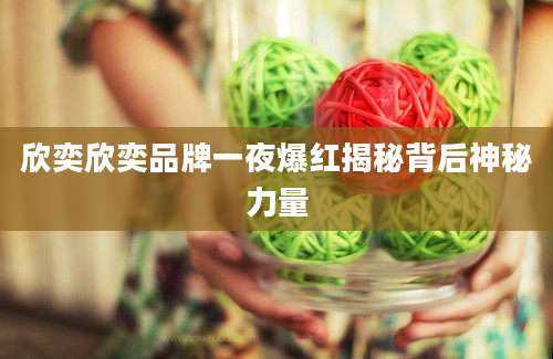 欣奕欣奕品牌一夜爆红揭秘背后神秘力量