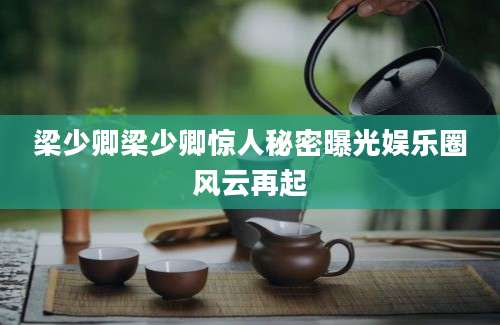 梁少卿梁少卿惊人秘密曝光娱乐圈风云再起