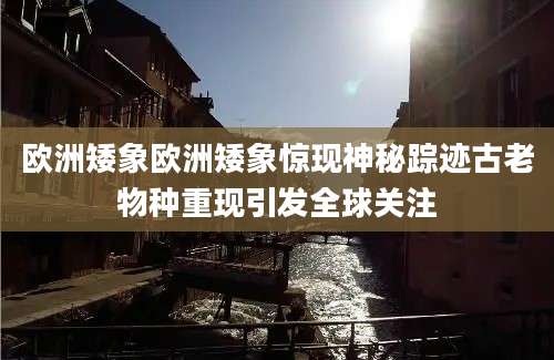 欧洲矮象欧洲矮象惊现神秘踪迹古老物种重现引发全球关注