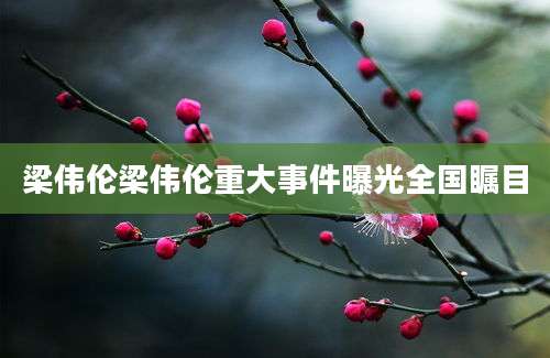 梁伟伦梁伟伦重大事件曝光全国瞩目