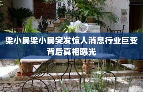 梁小民梁小民突发惊人消息行业巨变背后真相曝光