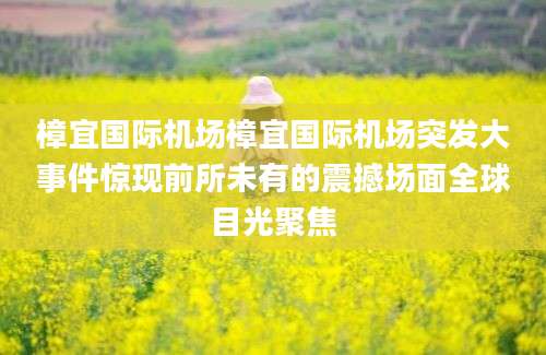 樟宜国际机场樟宜国际机场突发大事件惊现前所未有的震撼场面全球目光聚焦