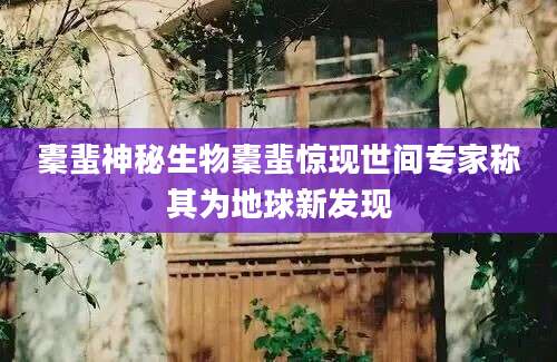 橐蜚神秘生物橐蜚惊现世间专家称其为地球新发现